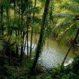 Vade - Jungle 94-95 - 27.10.05 -