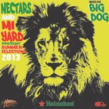 summer selections by dj big dog
