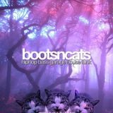 Bootsncats #018 - Padawan