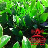 Azimutas vol. 64 Liquidmay (15 05 2011)
