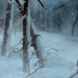 Winter - Disneyland Linderhof mix