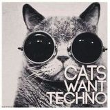..against The Sad Cats.