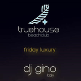 DJ Gino @ Truehouse 24-01-2014