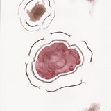 Sectioned