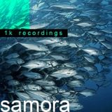 SAMORA -------> 1Krecordings is a MIX for Unknow Frequencies