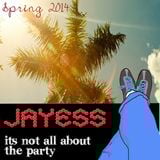 Jayess It aint all about the party Spring/summer 2014