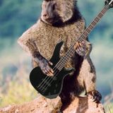 Baboon Bass 08/11