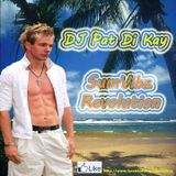 SumVibz Revolution