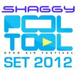 DJ Shaggy POOL TOOL set 2012