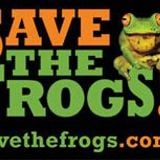 Save the frogs - in conversation with Kerry Kriger