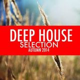 DJvICE - Club mix Oct 2014