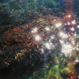 Finckobot - Translucent On The Dancefloor (June 2013)