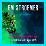 FM STROEMER - Timeless Symphony Essential Housemix April 2015 | www.fmstroemer.de
