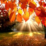 Autumn Mix (6.11.13) // Deep House //