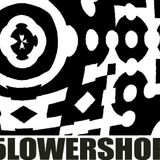 5LOWERSHOP #003 | Electric Mayhem