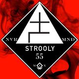 Strooly NVR M1X 55