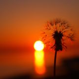 Sunset Summer Jam - DJ NewSense - 15-03-2014