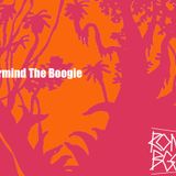 Nevermind The Boogie