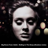 Big Room Feat. Adele - Rolling In The Deep (Shadeez Remix)