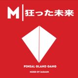 MADFUTURE | PINEAL GLAND GANG MIX 1 | MIXED BY IAO AUM