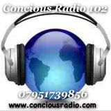 JOE UPRISING on CONCIOUS RADIO 29.11.2013