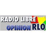 RADIO LIBRE OPINION RLO ,INVITE SIDYA TOURE, PRÉSIDENT DE L'UFR EN DIRECT DE PARIS.