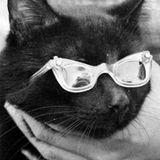 Meow