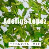 ADELINA LOPEZ — TESNOTA MIX #24