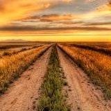 Augustin Bratie - Was A Long Way