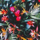 May 13 Mix.