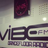 Andu @ Vibe FM (09.02.2013)