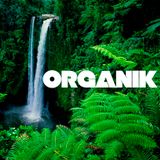 Organik #002