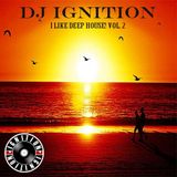 I LIKE DEEP HOUSE VOL.2