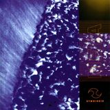 symbiosis Clandestine Electronic Subculture