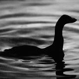 CHOP NESS MONSTER VOL.1