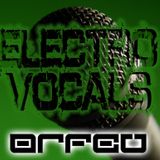DJ Orfeu - Electro Vocals Mix
