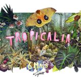 YB #16 (La Superette) - w/ new Romare, new Pawcut, Hubert Daviz, Subjectjazz, Bluestab, Icekream...