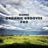 Organic Grooves #03