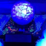 Hypnotic Sphere (Tribute to Crystal Dimension II)