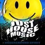 Just House Music (Underground Spirit)