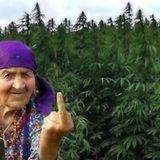 Hardstyle Highlife Vol 4