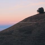 ASIP - Reflection on 2014