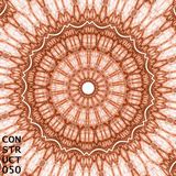 Construct #050