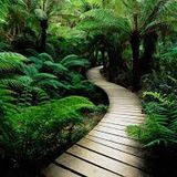 Balade en Nature