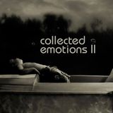 2013 ■ Collected Emotions II