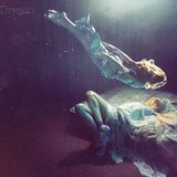 It's A Dream 001
