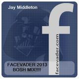 FACEVADER 2013 - Jay Middleton