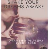 "Shake Your Dreams Awake" Radio Show @ Innersound Radio (02-10-13)