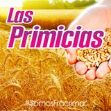 Predica Antonio Villaroel - Las Primicias