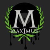 Max-I-muS @ Nachwerk Karlsruhe @ Subvibez/Italo/ Sebastian Groth